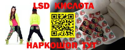 мяу мяу мука Краснознаменск