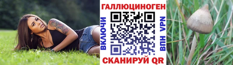 сколько стоит Валуйки МЕГА как зайти Галлюциногенные грибы Cubensis