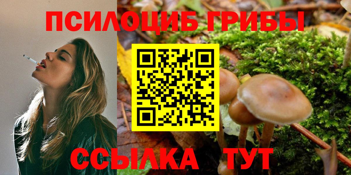 Псилоцибиновые грибы GOLDEN TEACHER Валуйки
