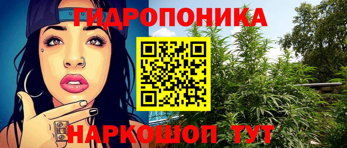 Бошки марихуана сатива Валуйки